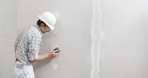 Best Biohazard Mold Removal  in Cumberland, KY