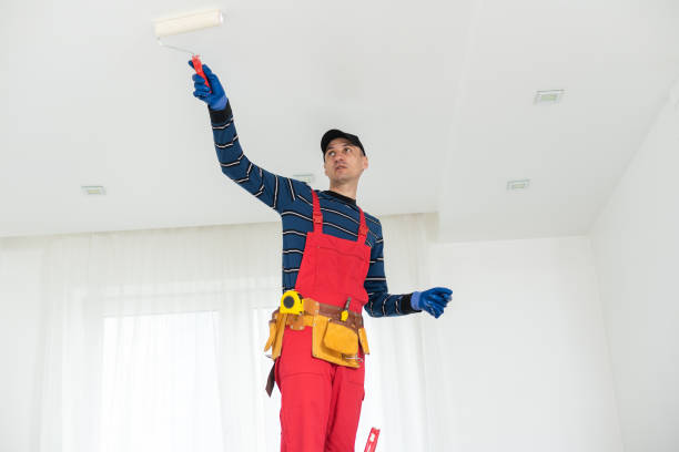 Best Mold Removal for HVAC Installations  in Cumberland, KY